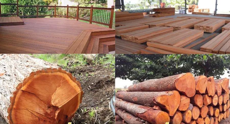 Các loại gỗ tự nhiên được dùng phổ biến trong thiết kế nội thất